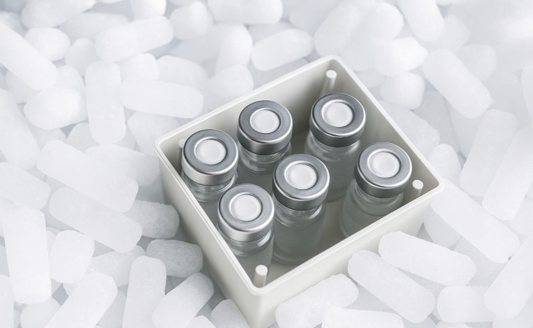 dry ice courier services