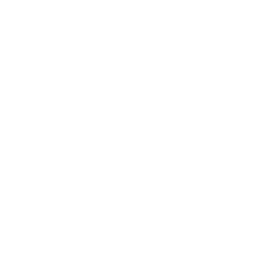 Same-Day Package Delivery