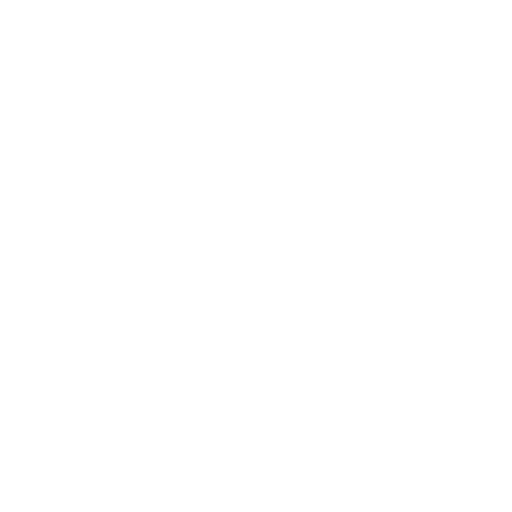Rapid Airport Pickup