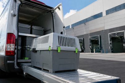 live animal shipping for lab testing