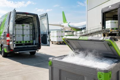 neonline dry ice blog